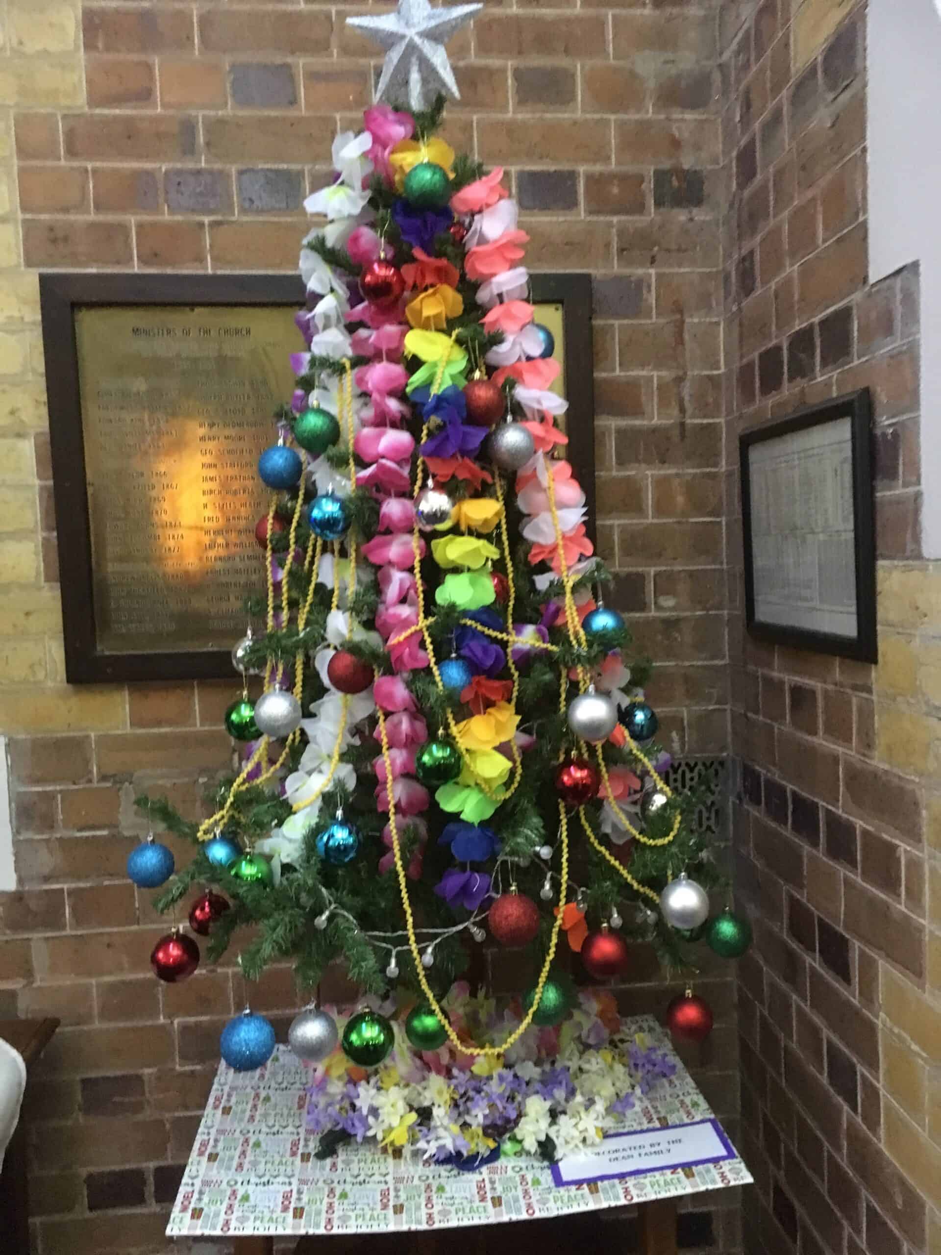 Trees 7